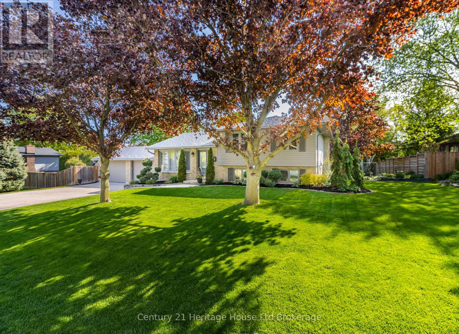 11 Millard Street, South-West Oxford, Ontario  N4S 7V6 - Photo 6 - X13155388