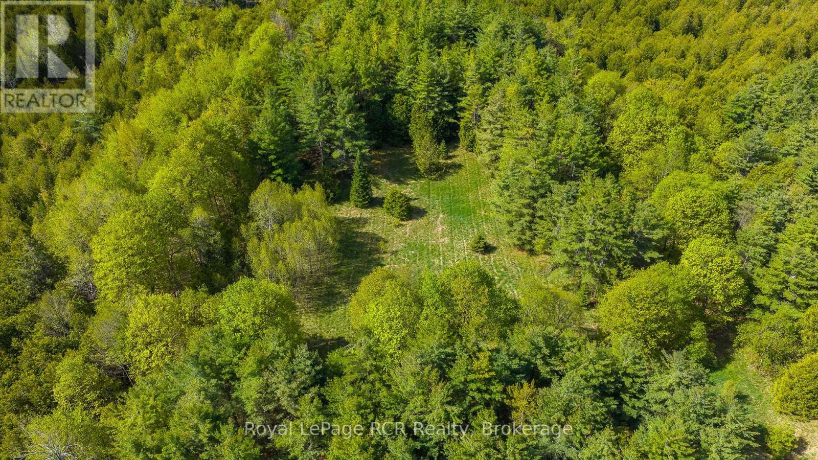 776318 Highway 10, Chatsworth, Ontario  N0H 1C0 - Photo 35 - X13155554