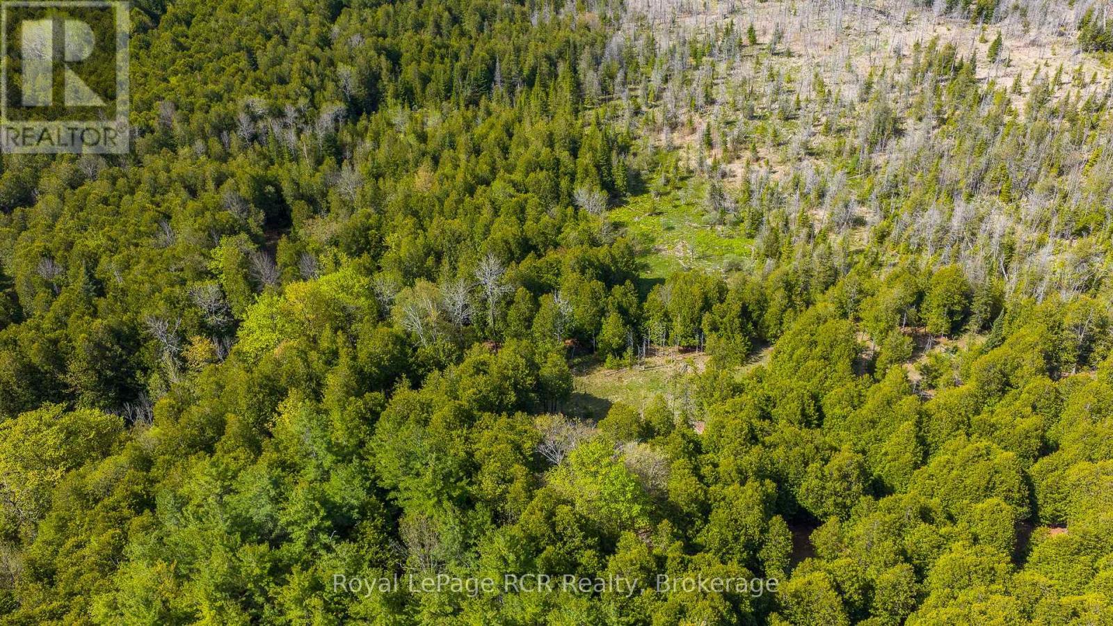 776318 Highway 10, Chatsworth, Ontario  N0H 1C0 - Photo 38 - X13155554