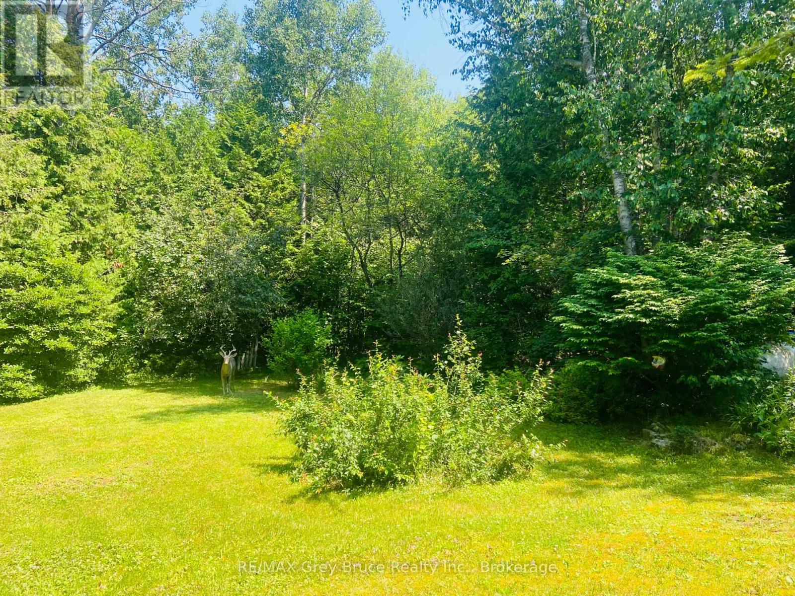 28 Stewarts Point, Northern Bruce Peninsula, Ontario  N0H 1W0 - Photo 46 - X13156534