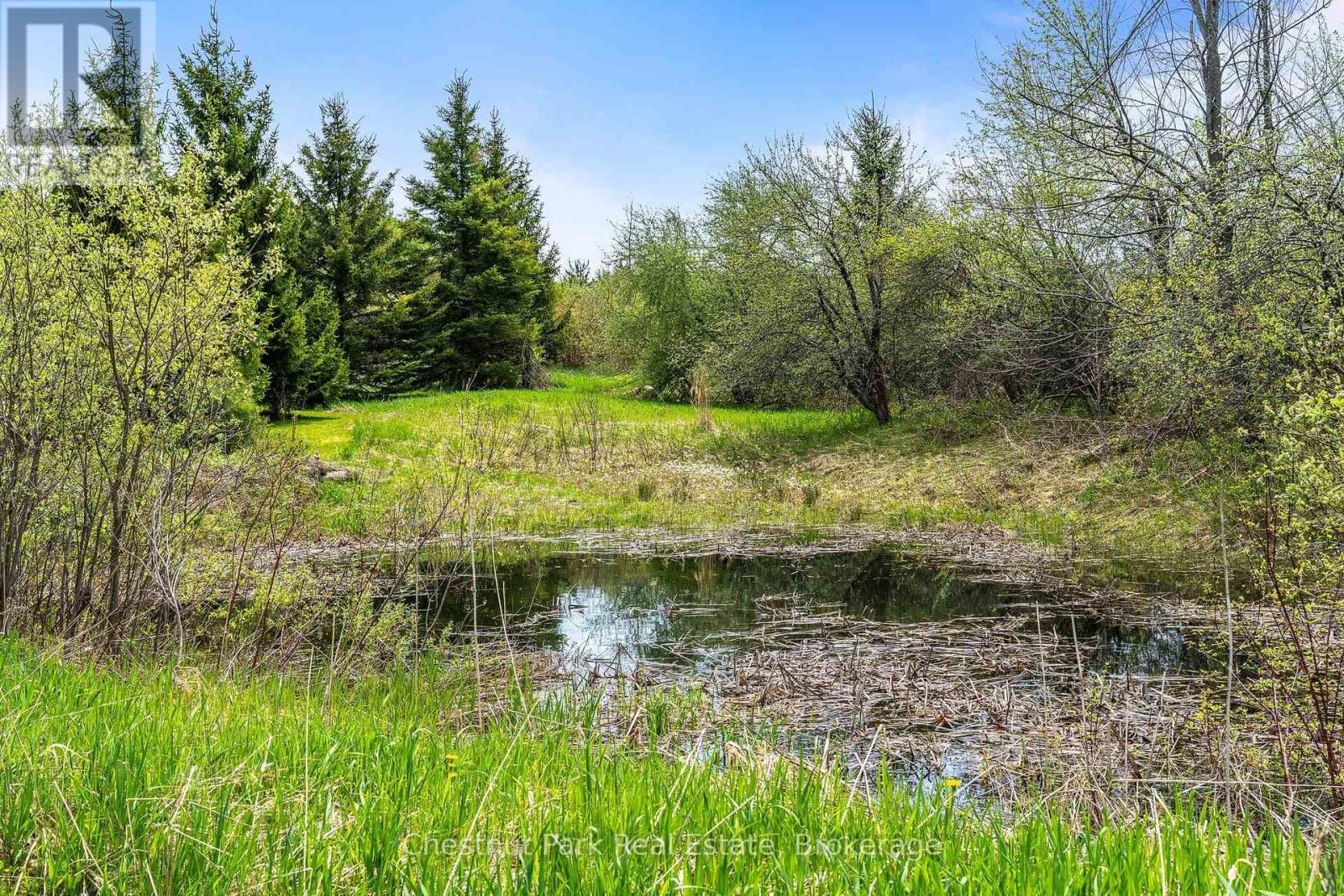 758510 2nd Line E, Mulmur, Ontario  L0M 1G0 - Photo 43 - X13157424