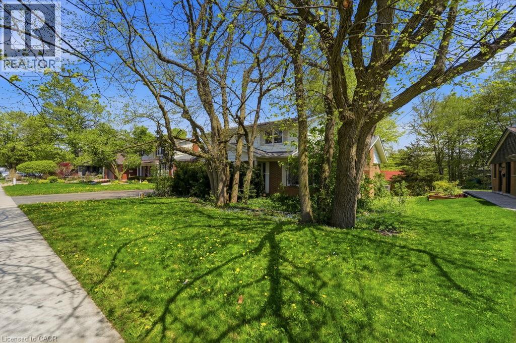 46 Birchcliff Avenue, Kitchener, Ontario  N2M 4V6 - Photo 4 - 40831002