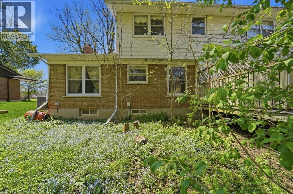 46 Birchcliff Avenue, Kitchener, Ontario  N2M 4V6 - Photo 7 - 40831002