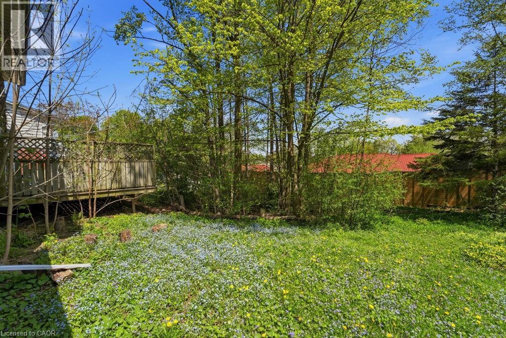 46 Birchcliff Avenue, Kitchener, Ontario  N2M 4V6 - Photo 8 - 40831002