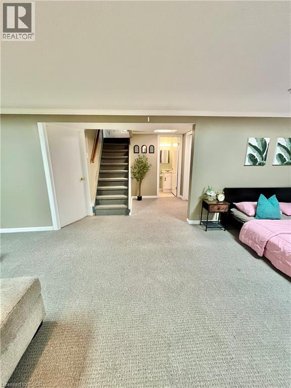 241 Thorner Drive, Hamilton, Ontario  L8V 2M6 - Photo 31 - 40832547
