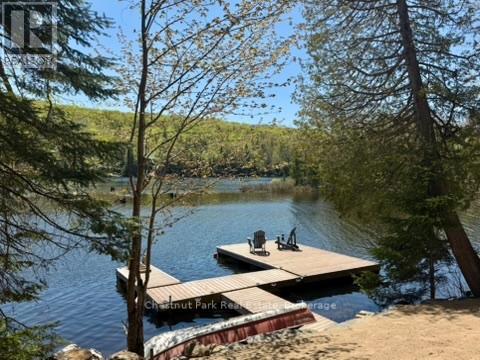 1027 Select Trail, Dysart Et Al, Ontario  K0M 1S0 - Photo 37 - X13163842