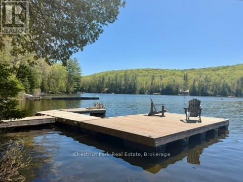 1027 Select Trail, Dysart Et Al, Ontario  K0M 1S0 - Photo 38 - X13163842