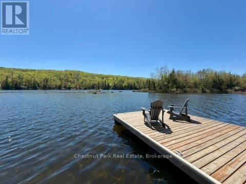 1027 Select Trail, Dysart Et Al, Ontario  K0M 1S0 - Photo 41 - X13163842