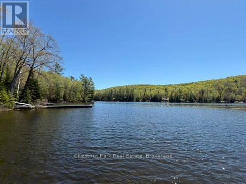 1027 Select Trail, Dysart Et Al, Ontario  K0M 1S0 - Photo 43 - X13163842