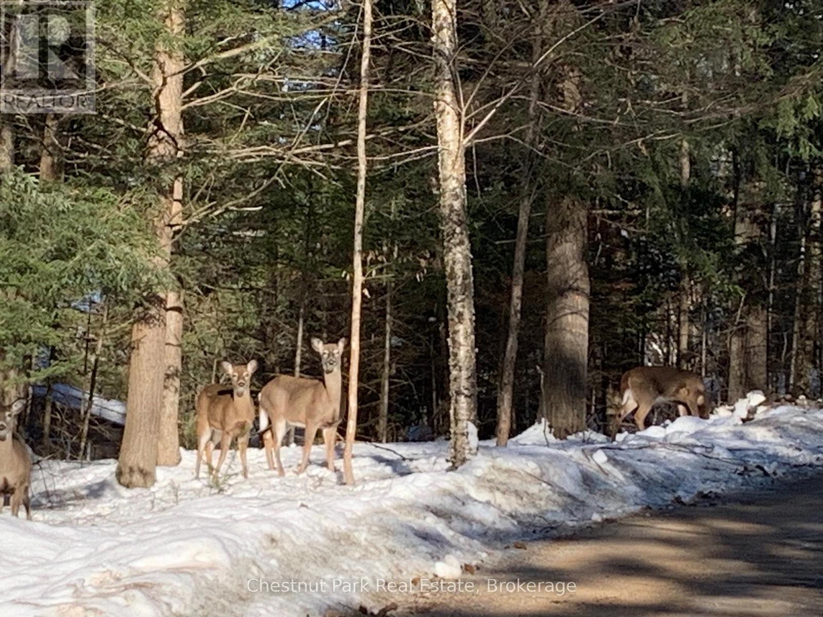 1027 Select Trail, Dysart Et Al, Ontario  K0M 1S0 - Photo 46 - X13163842