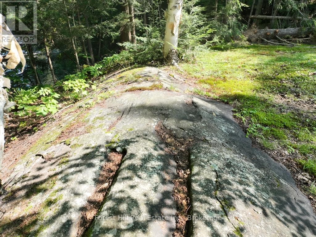 30945 Kawagama Lake Wao, Algonquin Highlands, Ontario  P0A 1E0 - Photo 19 - X13166234