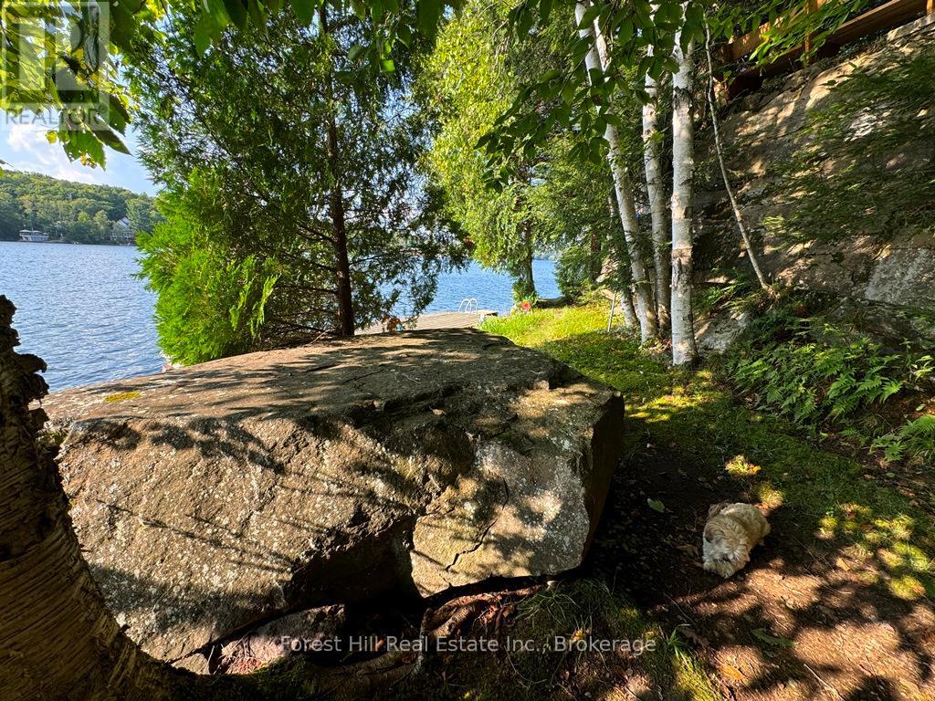 30945 Kawagama Lake Wao, Algonquin Highlands, Ontario  P0A 1E0 - Photo 28 - X13166234
