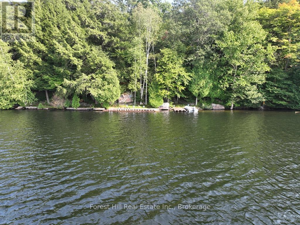 30945 Kawagama Lake Wao, Algonquin Highlands, Ontario  P0A 1E0 - Photo 4 - X13166234