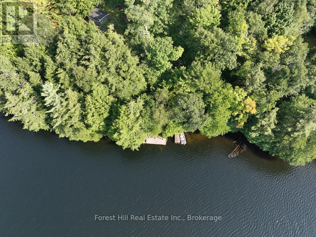 30945 Kawagama Lake Wao, Algonquin Highlands, Ontario  P0A 1E0 - Photo 6 - X13166234