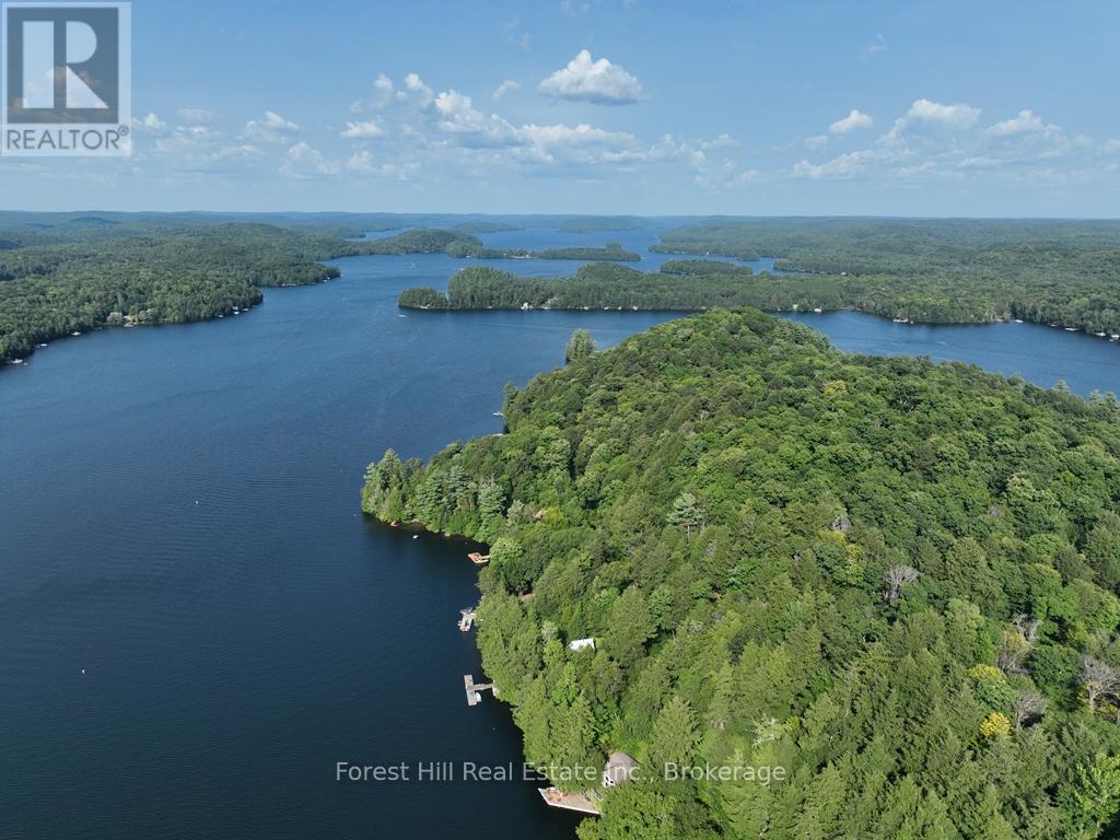 30945 Kawagama Lake Wao, Algonquin Highlands, Ontario  P0A 1E0 - Photo 7 - X13166234