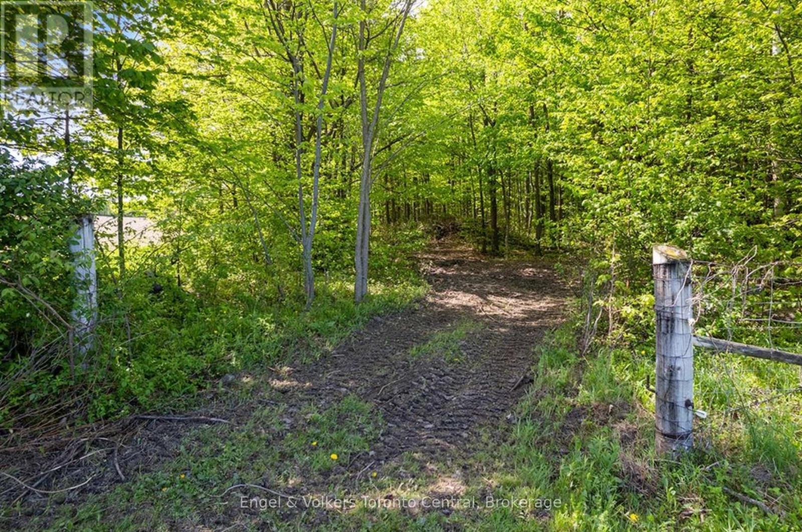 268 Fox Ridge Road, Grey Highlands, Ontario  N0H 1J0 - Photo 32 - X13166374