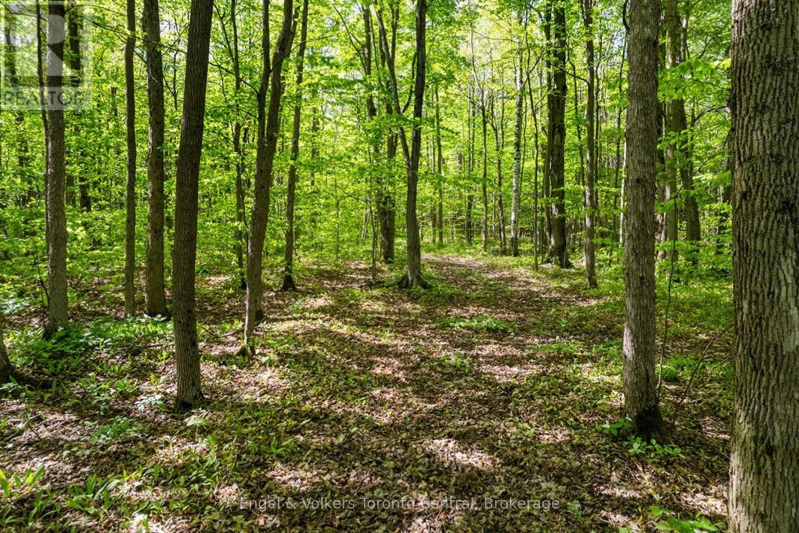 268 Fox Ridge Road, Grey Highlands, Ontario  N0H 1J0 - Photo 33 - X13166374