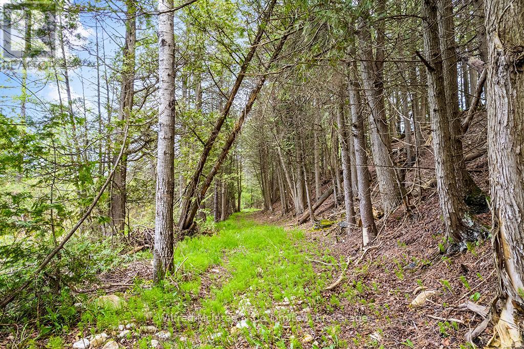 135220 Concession Road 8 Road, Chatsworth, Ontario  N0H 1K0 - Photo 33 - X13167312