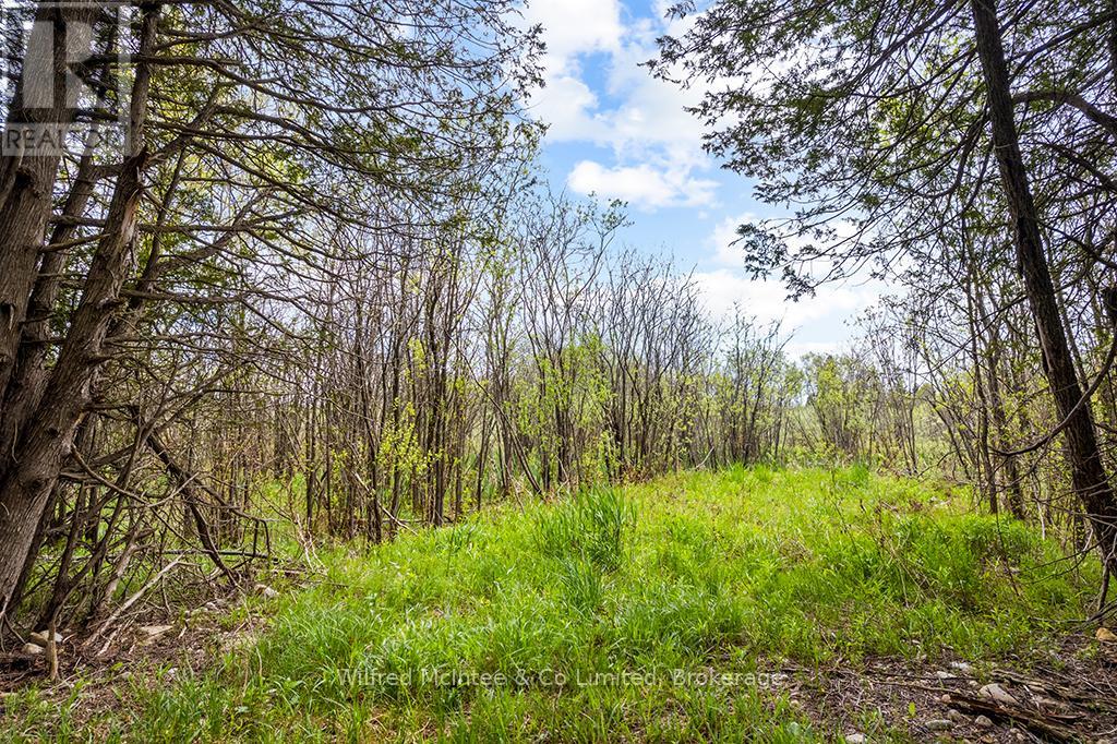 135220 Concession Road 8 Road, Chatsworth, Ontario  N0H 1K0 - Photo 34 - X13167312