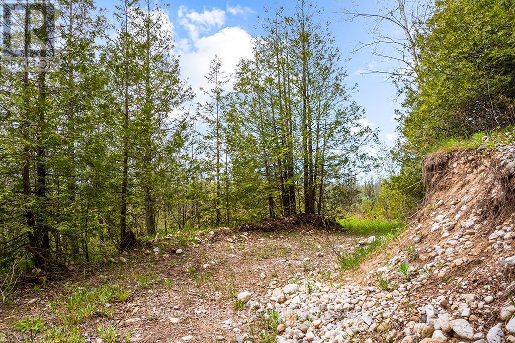 135220 Concession Road 8 Road, Chatsworth, Ontario  N0H 1K0 - Photo 35 - X13167312