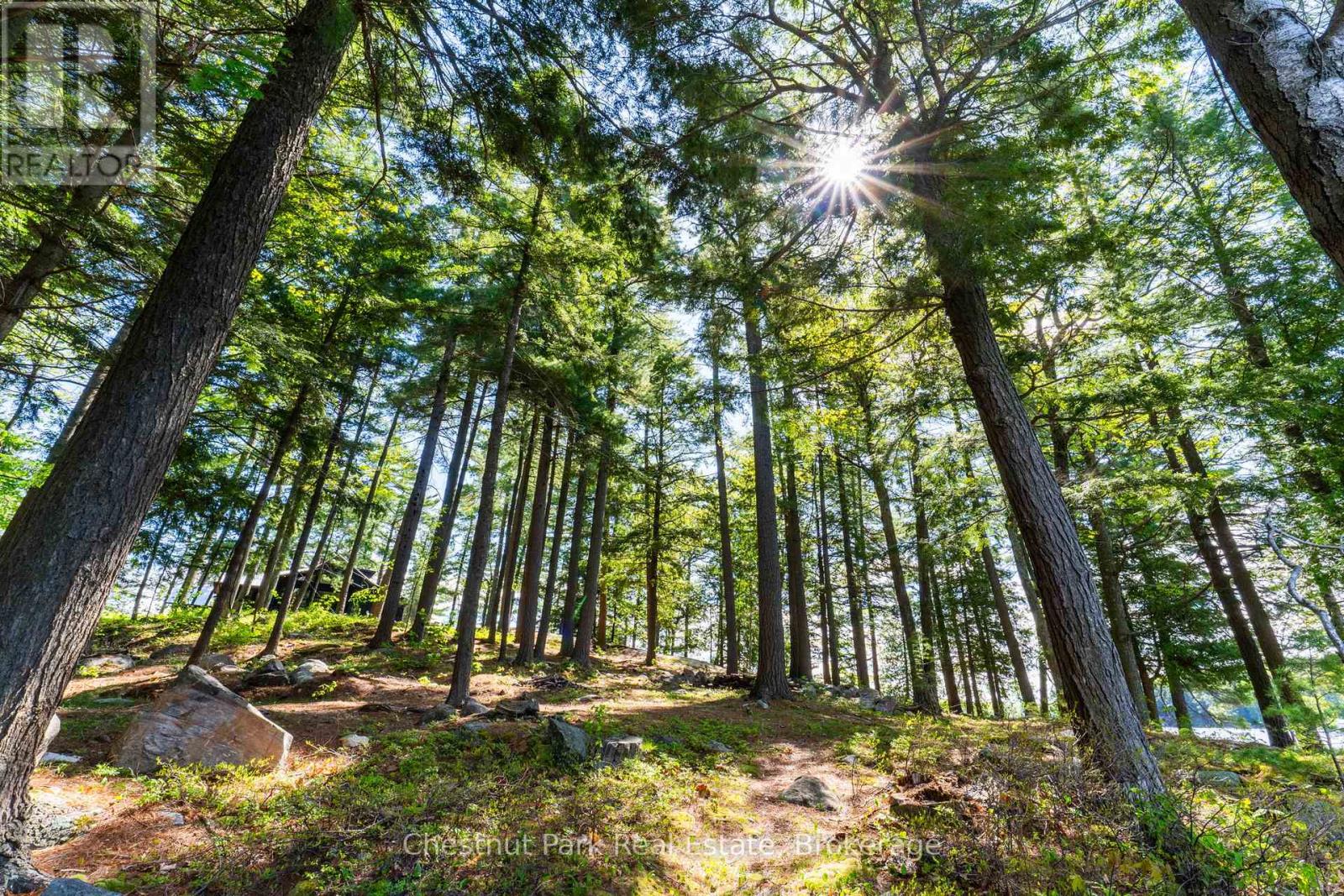 5 Is Beacon Island, Muskoka Lakes, Ontario  P0B 1J0 - Photo 24 - X13168632