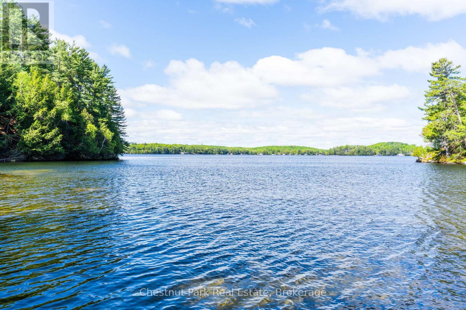 5 Is Beacon Island, Muskoka Lakes, Ontario  P0B 1J0 - Photo 4 - X13168632