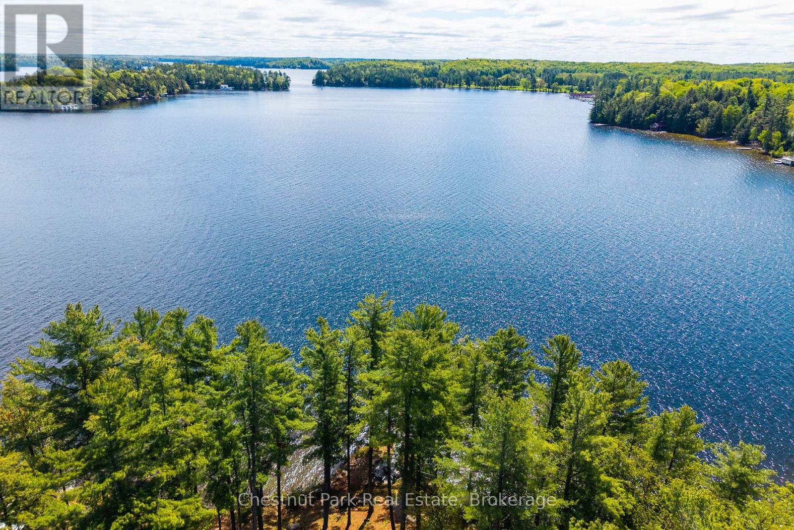 5 Is Beacon Island, Muskoka Lakes, Ontario  P0B 1J0 - Photo 6 - X13168632