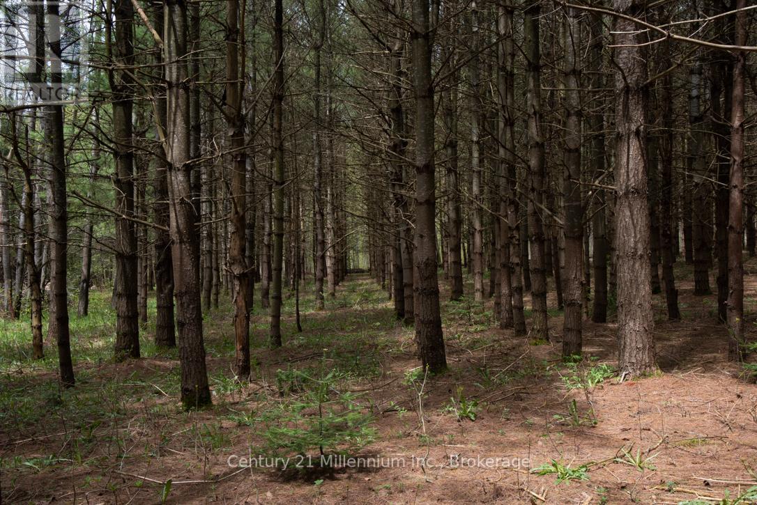 569025 6 Side Road, Blue Mountains, Ontario  N0H 2E0 - Photo 20 - X13169262