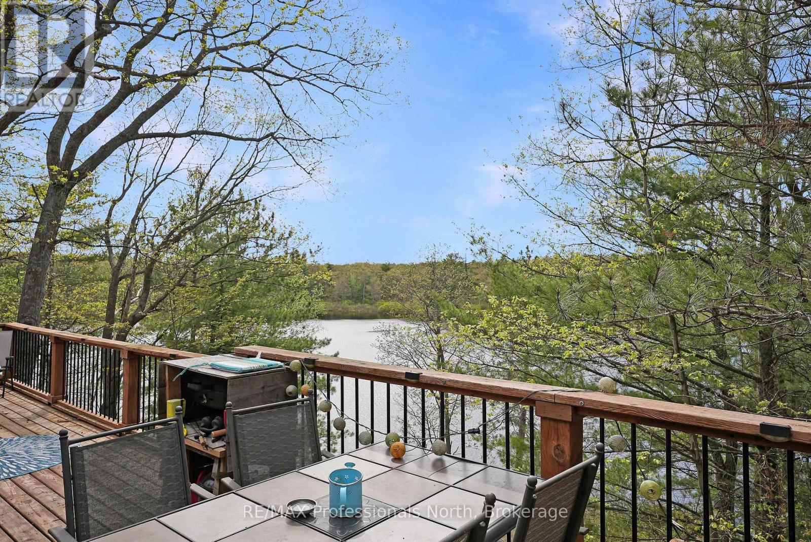 1012 Iroquois Lane, Minden Hills, Ontario  K0M 2K0 - Photo 7 - X13170262