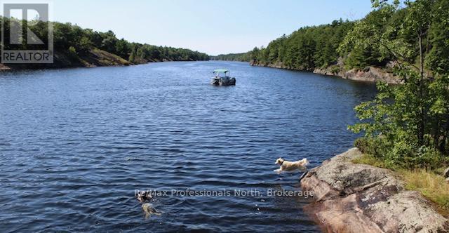1118 Tomingas Road, Gravenhurst, Ontario  P1P 0G3 - Photo 46 - X13170916