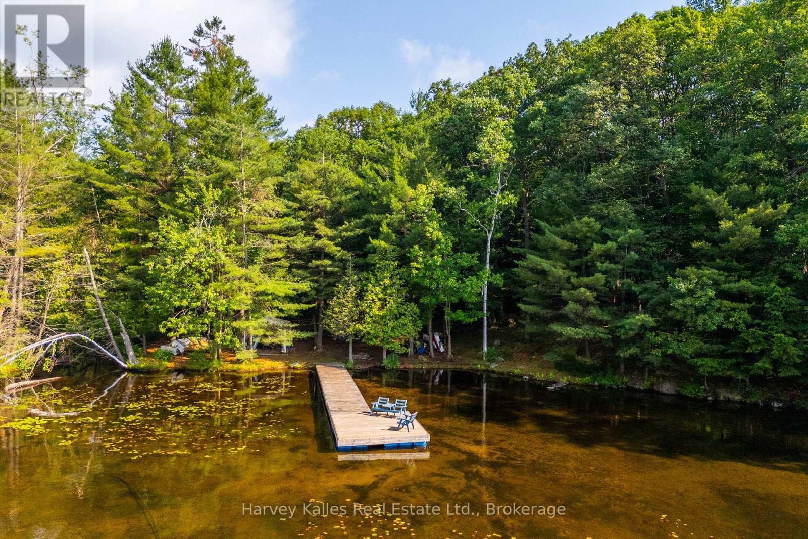 4 - 1254 Barlochan Road, Muskoka Lakes, Ontario  P1P 1R2 - Photo 2 - X13173084