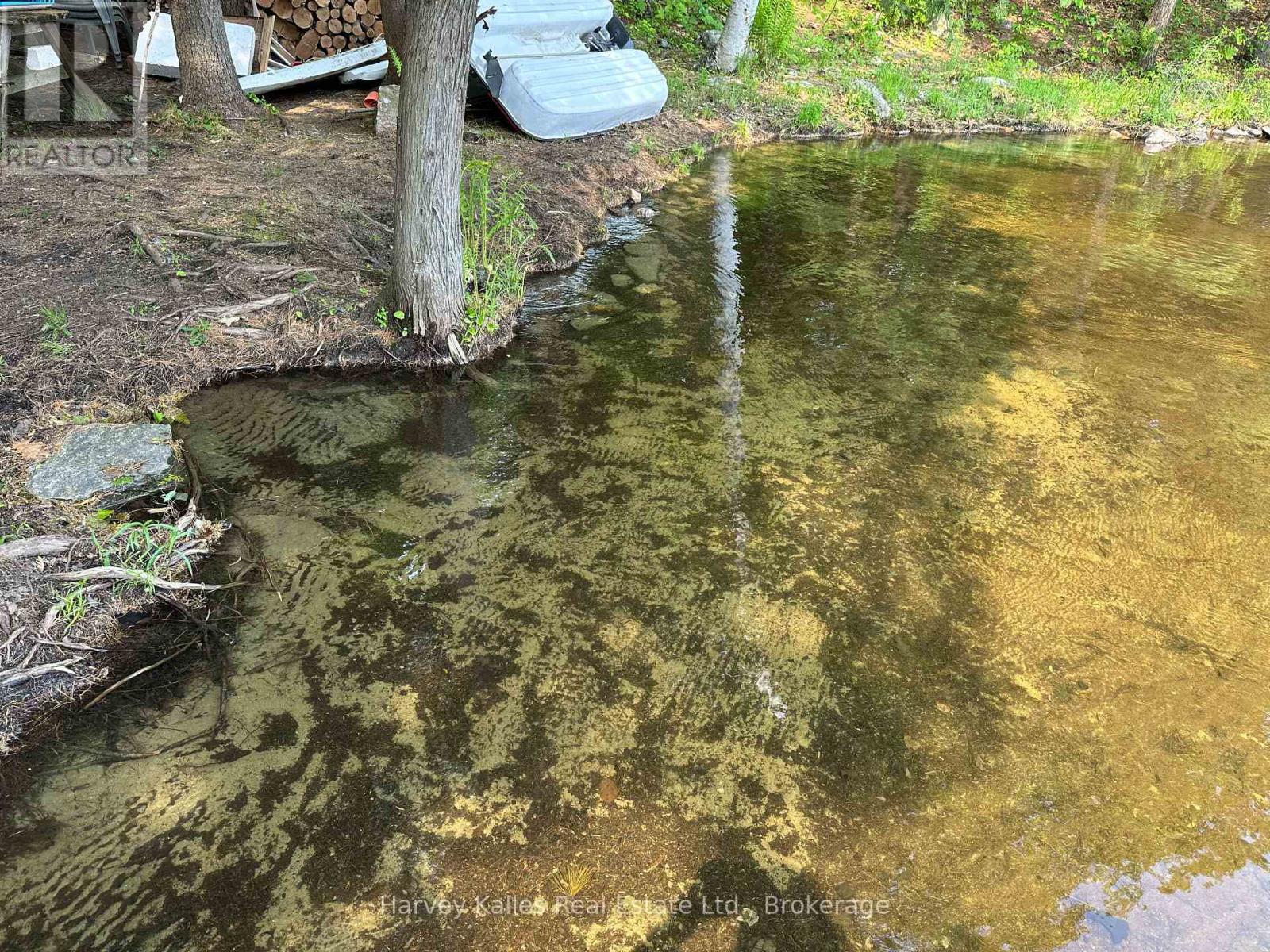 4 - 1254 Barlochan Road, Muskoka Lakes, Ontario  P1P 1R2 - Photo 7 - X13173084