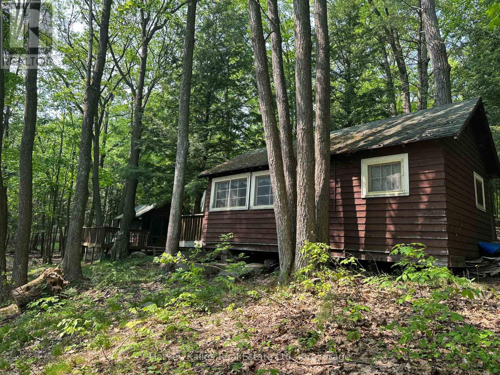 4 - 1254 Barlochan Road, Muskoka Lakes, Ontario  P1P 1R2 - Photo 9 - X13173084