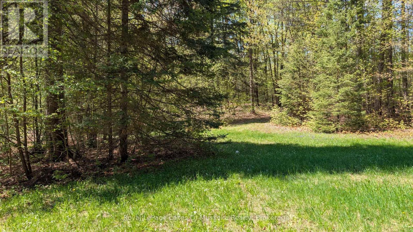 386 Locke's Road, Perry, Ontario  P0A 1R0 - Photo 12 - X13174578