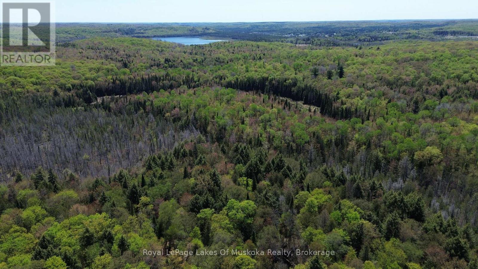 386 Locke's Road, Perry, Ontario  P0A 1R0 - Photo 19 - X13174578