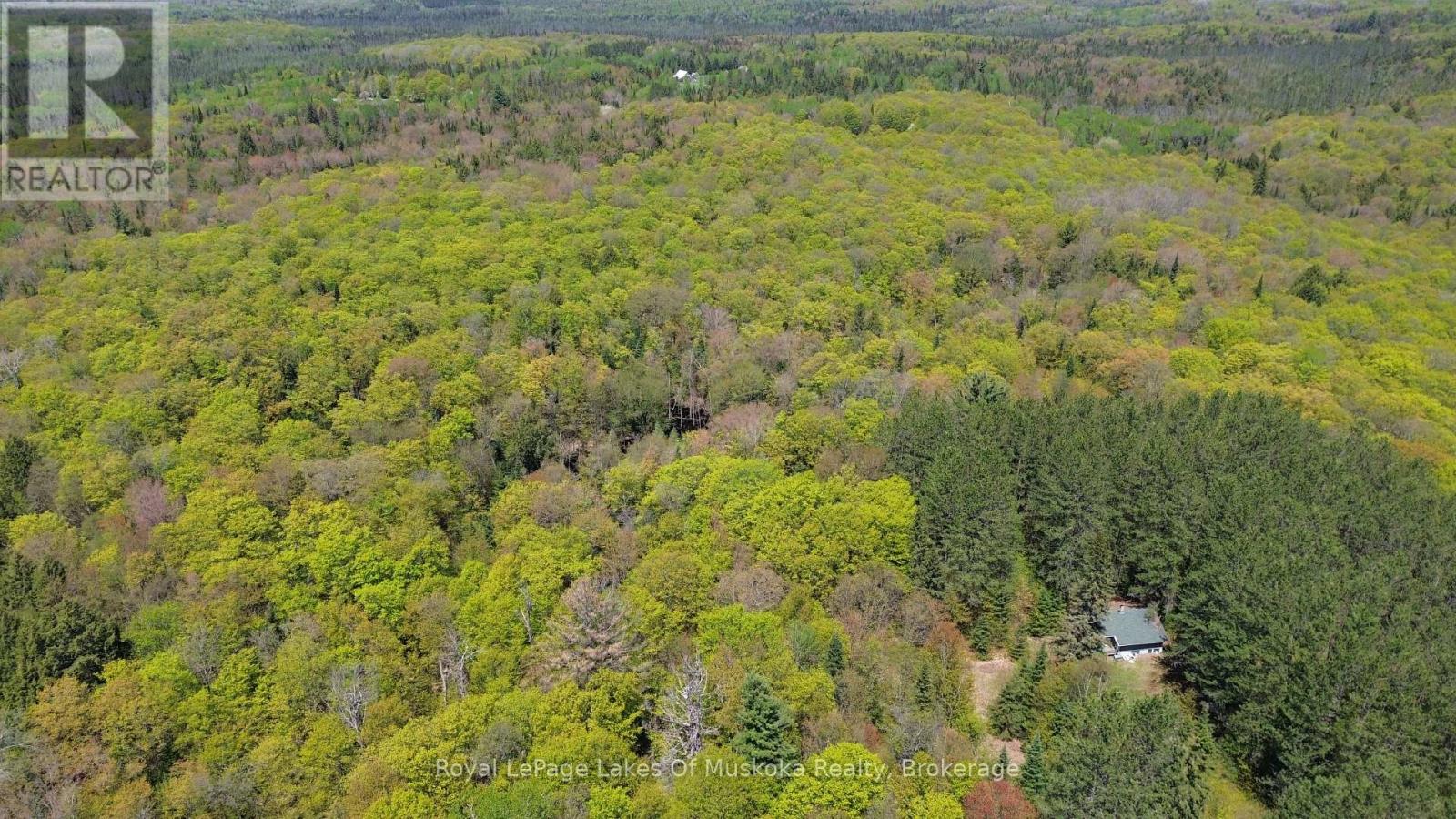 386 Locke's Road, Perry, Ontario  P0A 1R0 - Photo 20 - X13174578