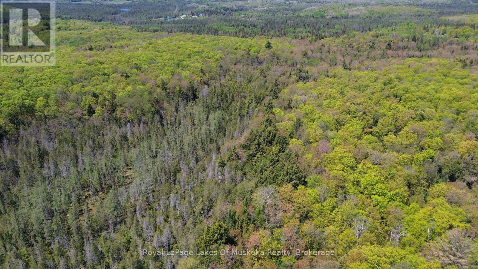 386 Locke's Road, Perry, Ontario  P0A 1R0 - Photo 21 - X13174578