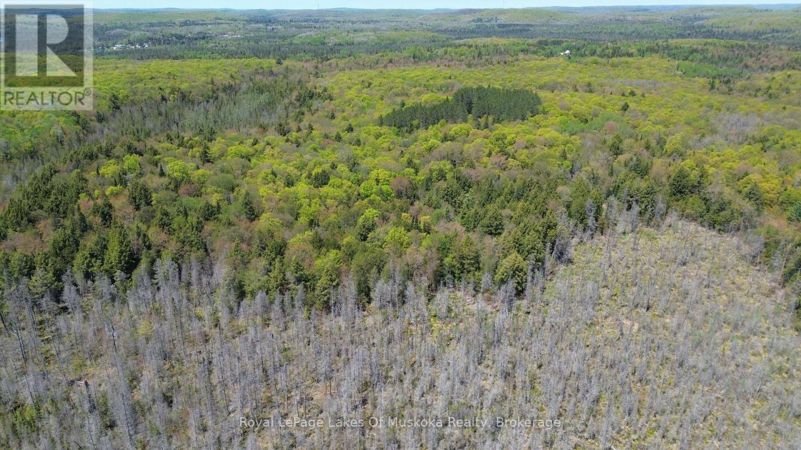 386 Locke's Road, Perry, Ontario  P0A 1R0 - Photo 22 - X13174578