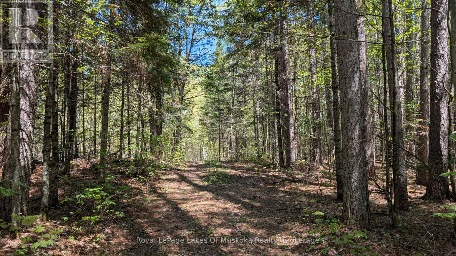 386 Locke's Road, Perry, Ontario  P0A 1R0 - Photo 25 - X13174578