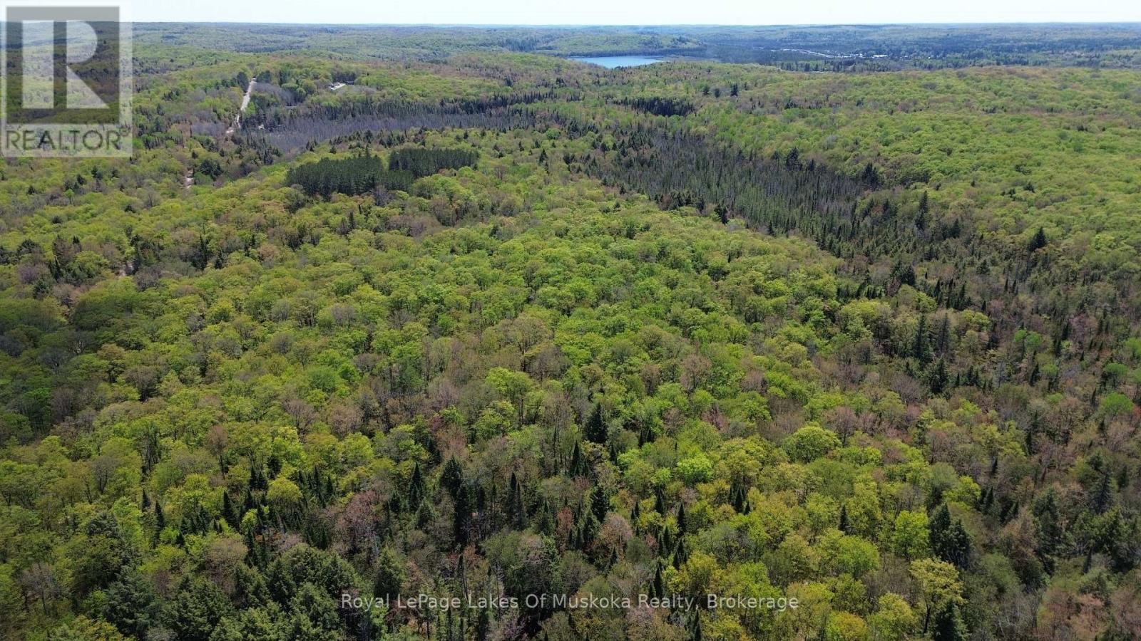 386 Locke's Road, Perry, Ontario  P0A 1R0 - Photo 4 - X13174578