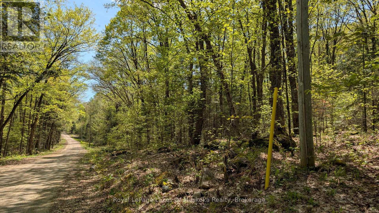 386 Locke's Road, Perry, Ontario  P0A 1R0 - Photo 7 - X13174578