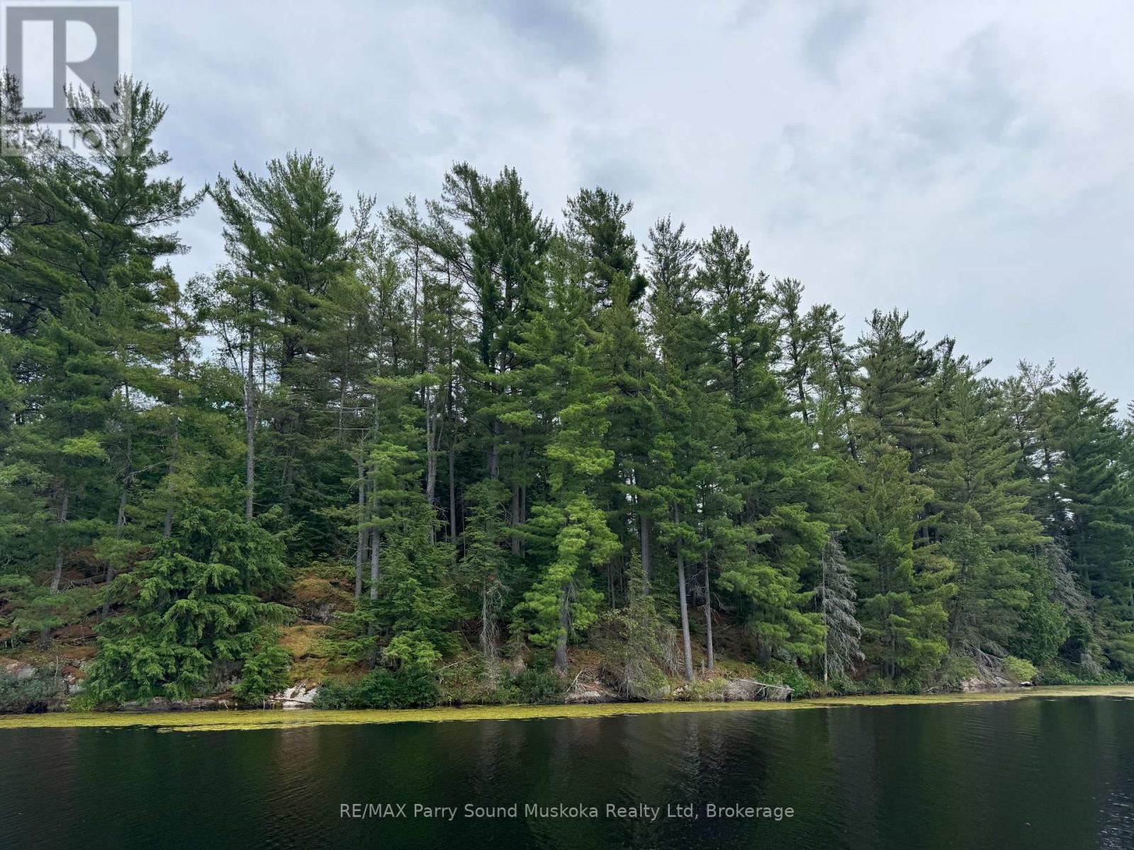 2 Wolf River, Parry Sound Remote Area, Ontario  P0H 1S0 - Photo 5 - X13176262
