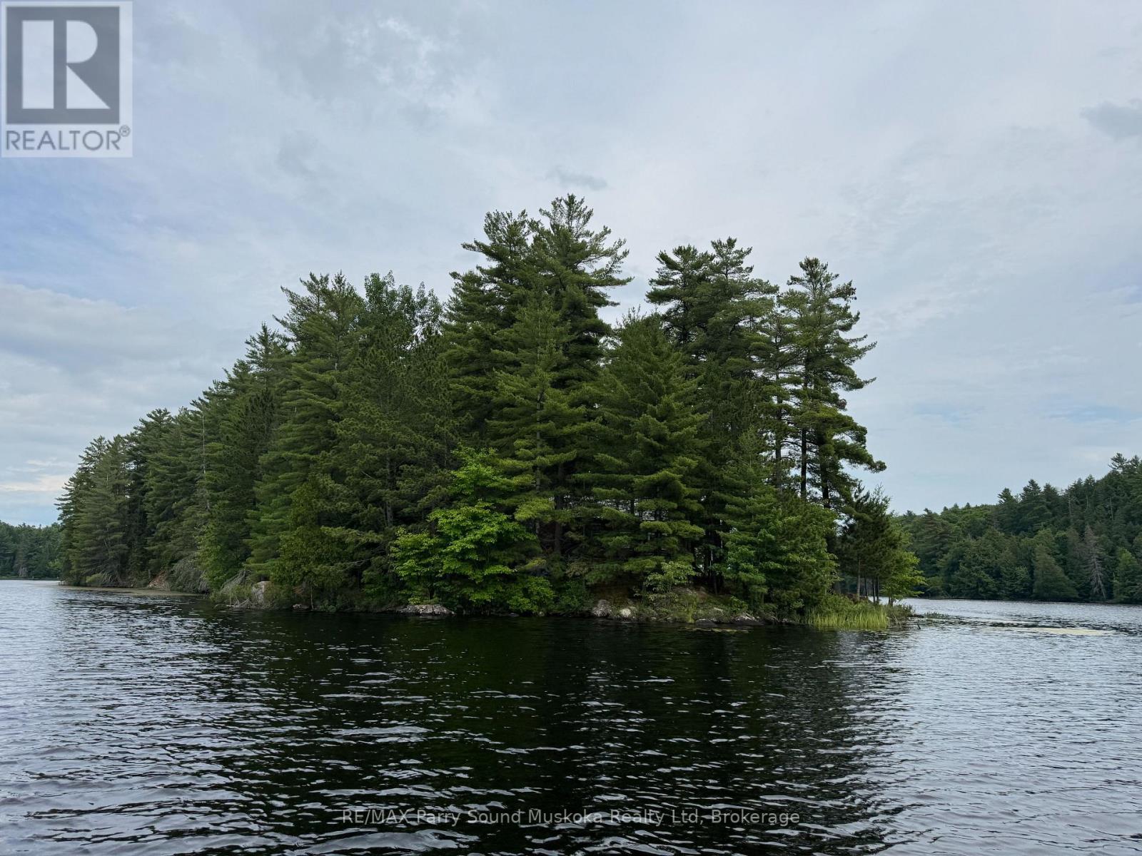 2 Wolf River, Parry Sound Remote Area, Ontario  P0H 1S0 - Photo 6 - X13176262