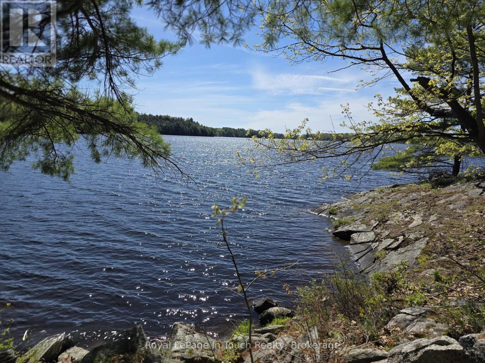 2910 Maclean Lake North Shore Road, Severn, Ontario  L0K 1E0 - Photo 9 - S13176514