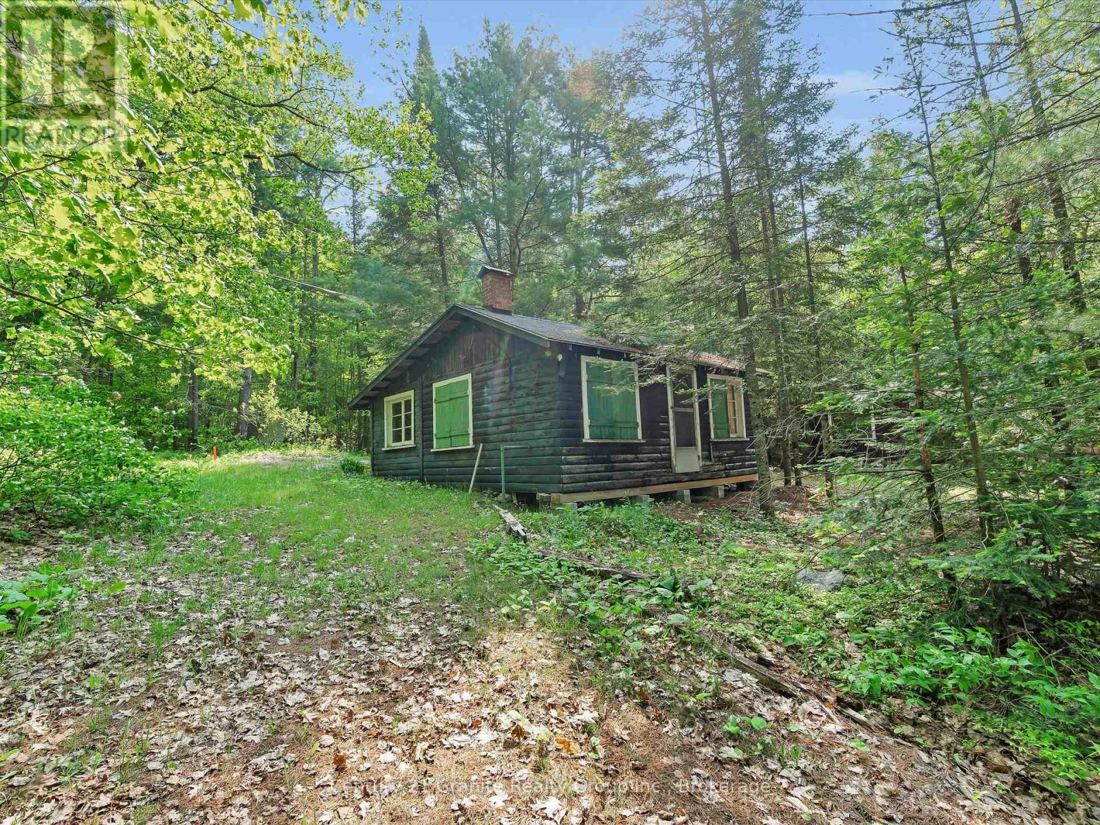 1141 Kanawa Lane, Algonquin Highlands, Ontario  K0M 1S0 - Photo 13 - X13176846