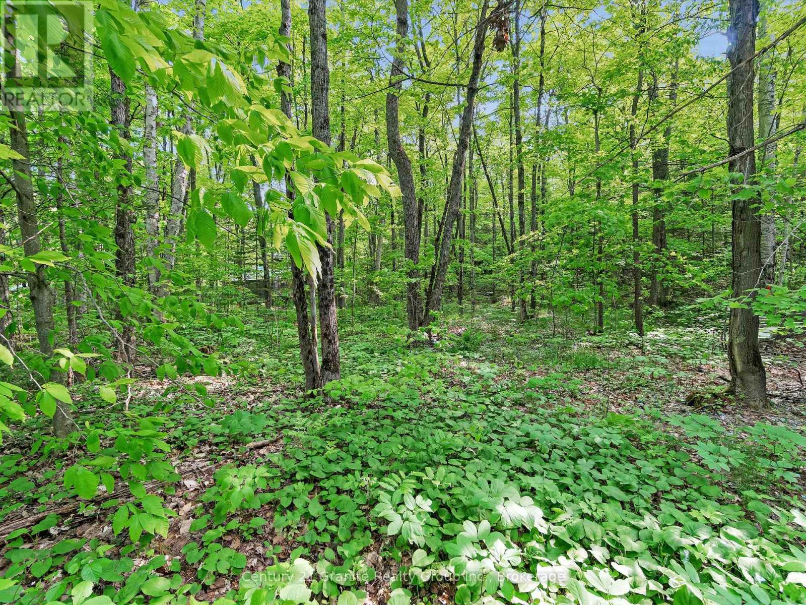 1141 Kanawa Lane, Algonquin Highlands, Ontario  K0M 1S0 - Photo 18 - X13176846