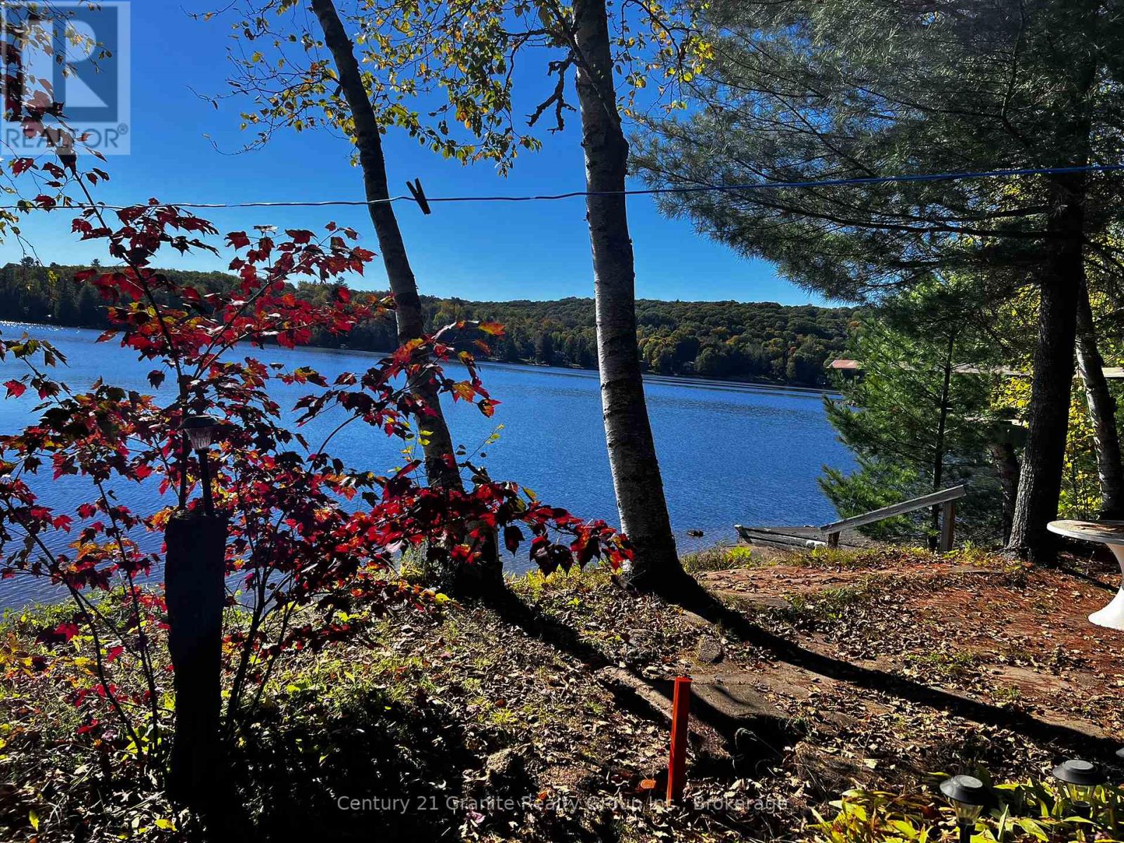 1141 Kanawa Lane, Algonquin Highlands, Ontario  K0M 1S0 - Photo 19 - X13176846