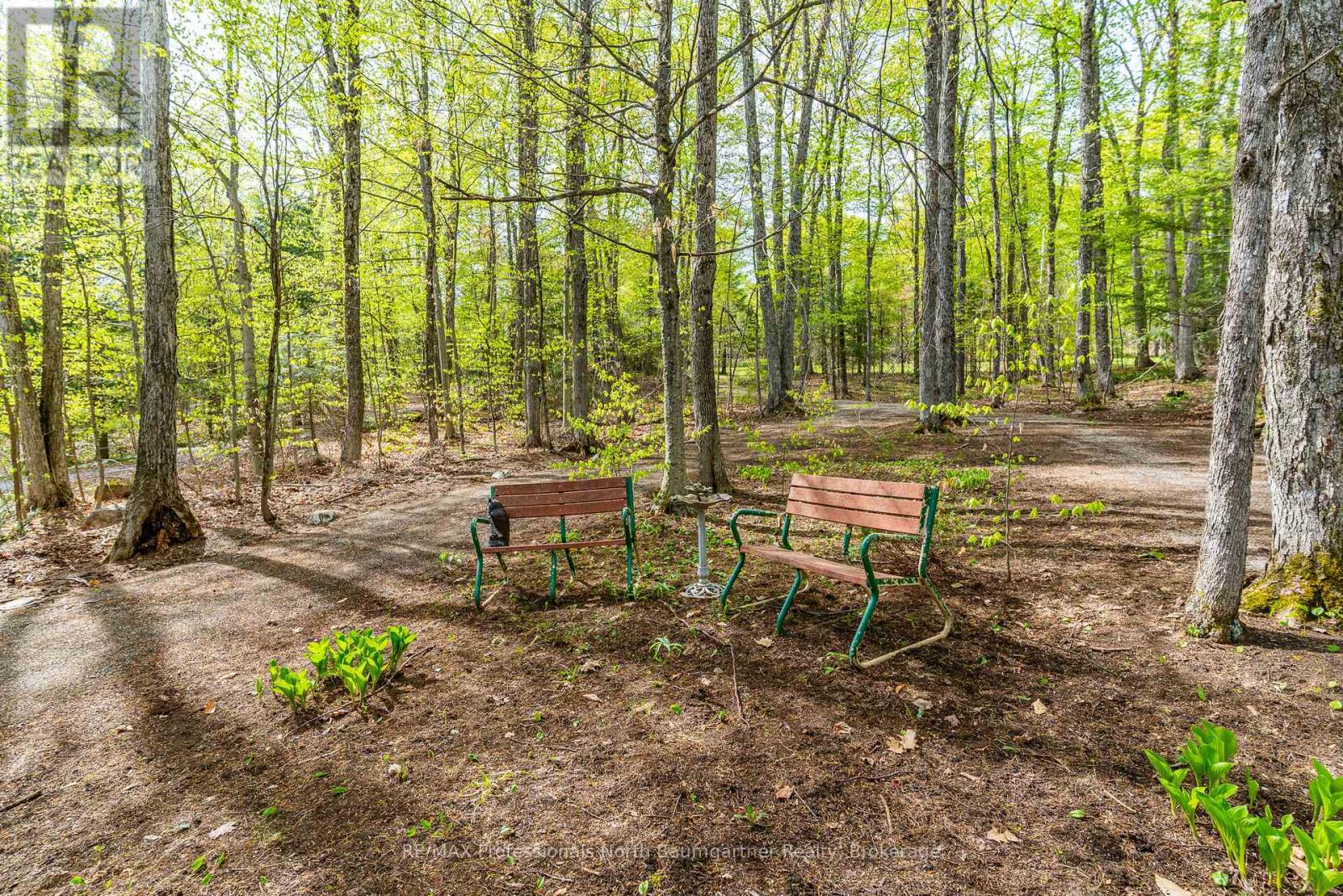 1066 Buckskin Lake Road, Highlands East, Ontario  K0L 2Y0 - Photo 28 - X13177210