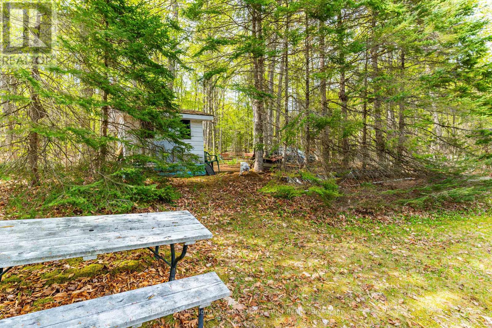 1066 Buckskin Lake Road, Highlands East, Ontario  K0L 2Y0 - Photo 30 - X13177210