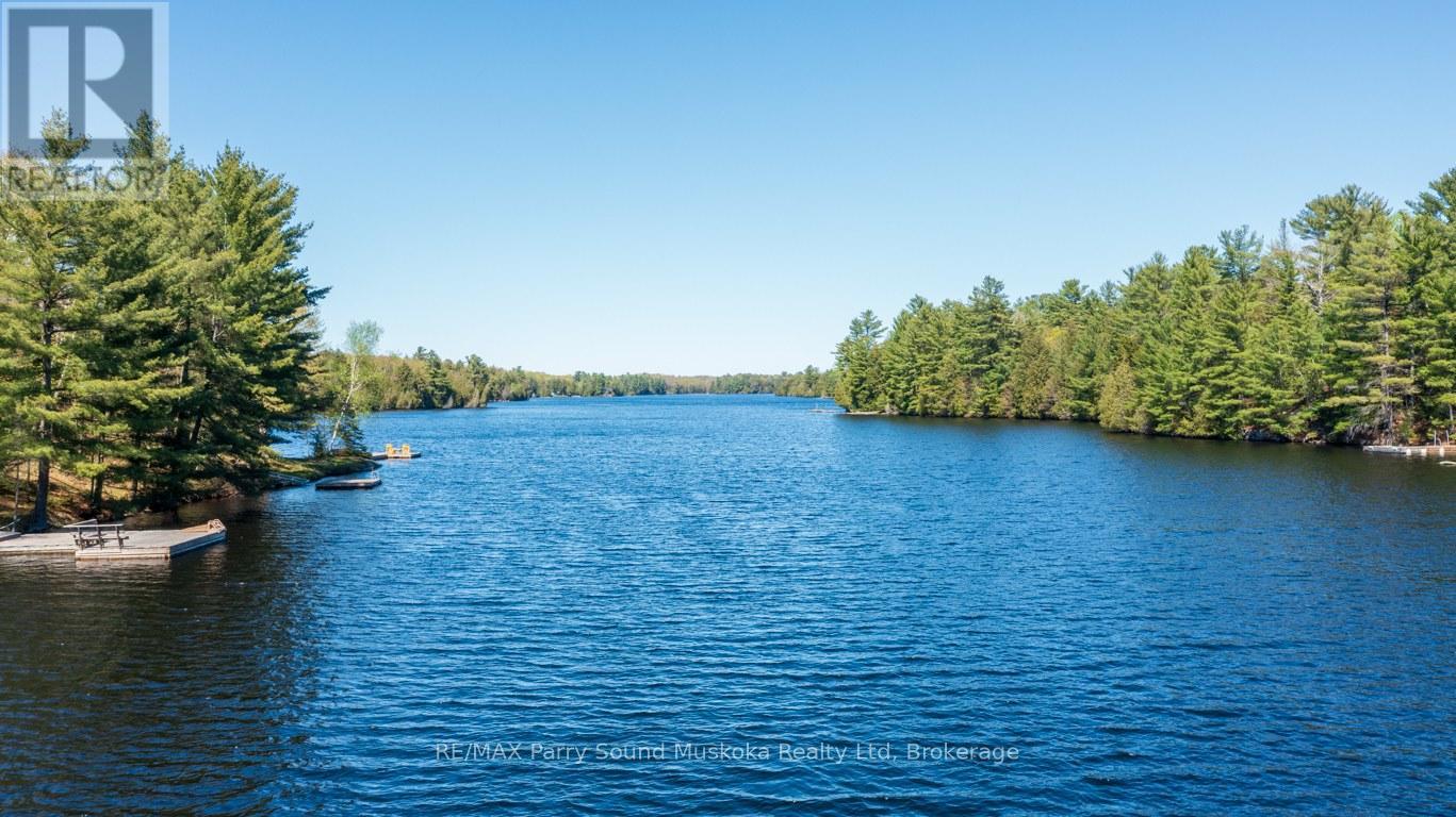 13 Peninsula Shores Road E, Mcdougall, Ontario  P2A 2W7 - Photo 43 - X13185328